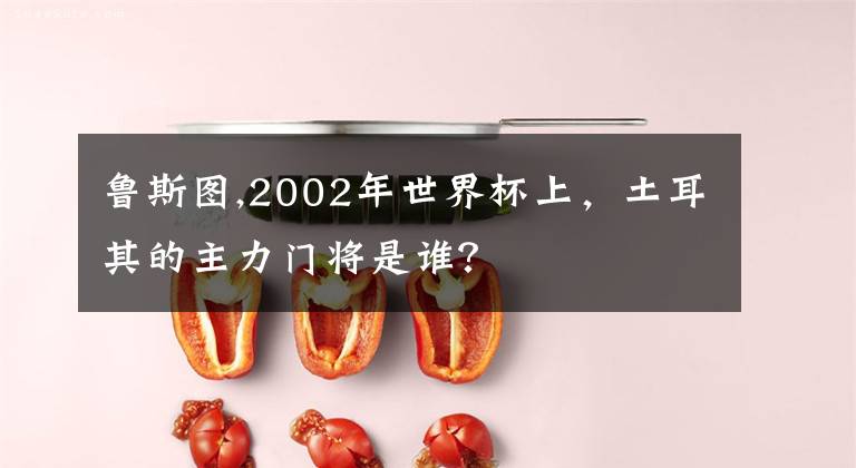 魯斯圖,2002年世界杯上，土耳其的主力門將是誰？