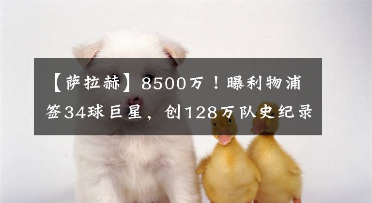 【薩拉赫】8500萬！曝利物浦簽34球巨星，創(chuàng)128萬隊史紀錄，薩拉赫難當老大