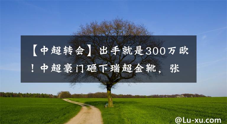 【中超轉(zhuǎn)會(huì)】出手就是300萬(wàn)歐！中超豪門(mén)砸下瑞超金靴，張玉寧們有對(duì)手了！