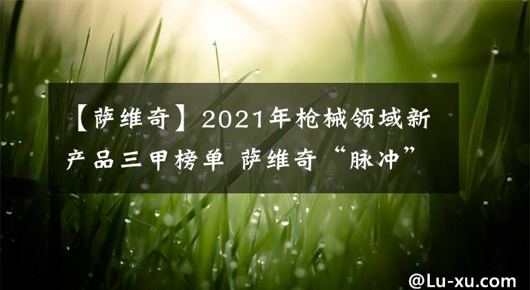 【薩維奇】2021年槍械領(lǐng)域新產(chǎn)品三甲榜單 薩維奇“脈沖”直拉栓動(dòng)步槍奪魁