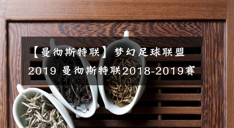 【曼徹斯特聯(lián)】夢幻足球聯(lián)盟2019 曼徹斯特聯(lián)2018-2019賽季球衣