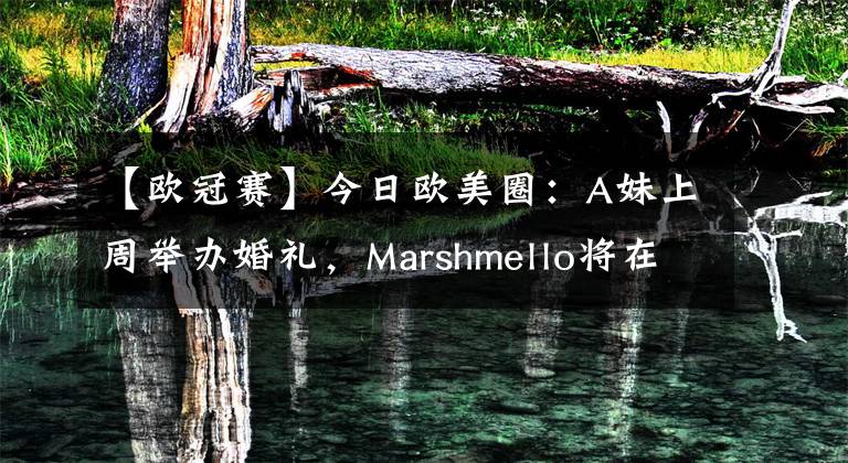 【歐冠賽】今日歐美圈：A妹上周舉辦婚禮，Marshmello將在歐冠決賽賽前演出