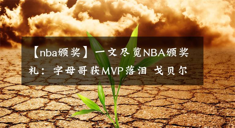 【nba頒獎(jiǎng)】一文盡覽NBA頒獎(jiǎng)禮：字母哥獲MVP落淚 戈貝爾最佳防守球員