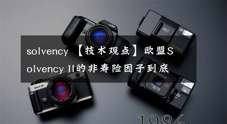 solvency 【技術(shù)觀點】歐盟Solvency II的非壽險因子到底有多高？