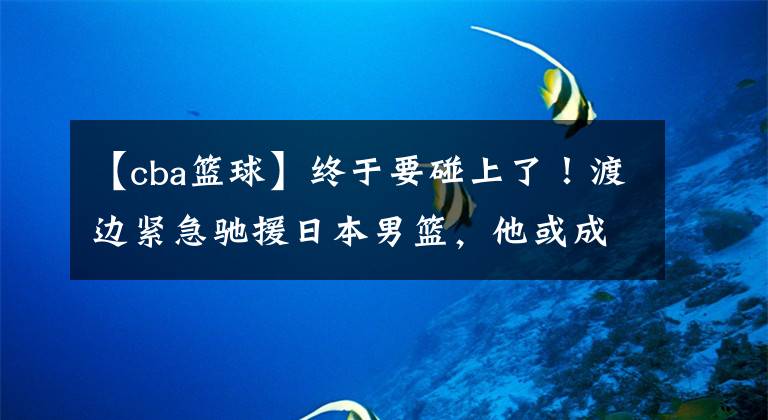 【cba籃球】終于要碰上了！渡邊緊急馳援日本男籃，他或成中國男籃鋒線試金石