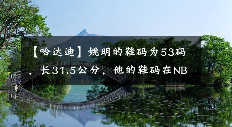 【哈達迪】姚明的鞋碼為53碼，長31.5公分，他的鞋碼在NBA是什么級別？