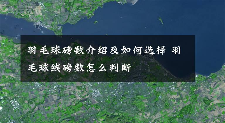 羽毛球磅數(shù)介紹及如何選擇 羽毛球線磅數(shù)怎么判斷