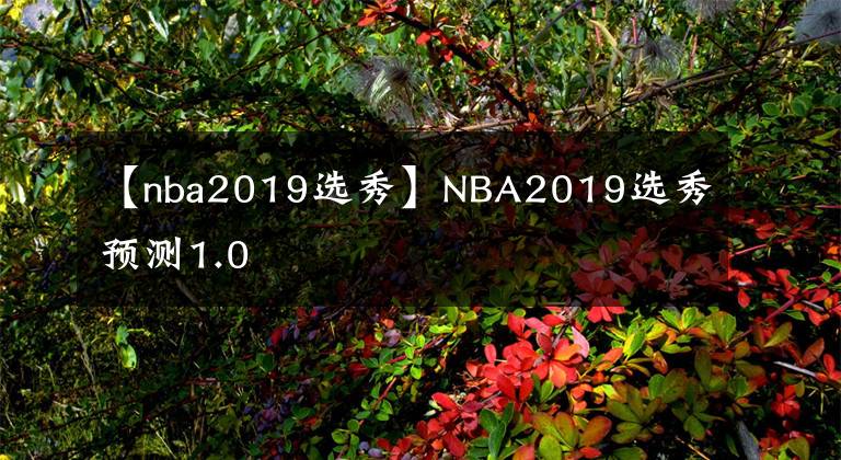 【nba2019選秀】NBA2019選秀預(yù)測1.0