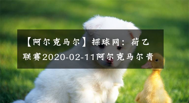 【阿爾克馬爾】探球網(wǎng)：荷乙聯(lián)賽2020-02-11阿爾克馬爾青年隊VS福倫丹比賽情報分析