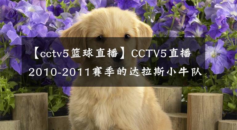 【cctv5籃球直播】CCTV5直播2010-2011賽季的達(dá)拉斯小牛隊(duì)