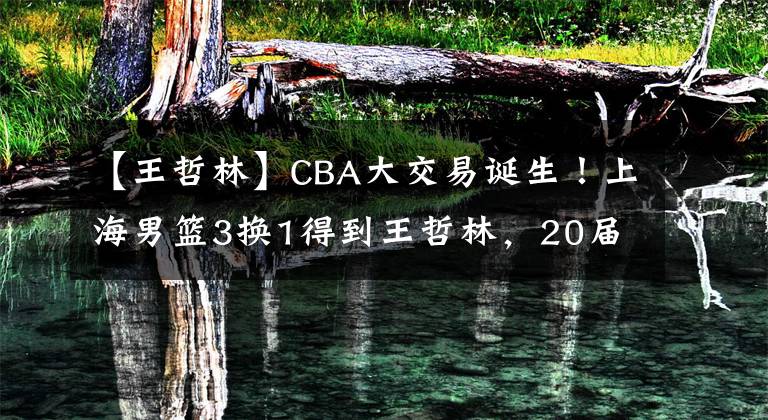 【王哲林】CBA大交易誕生！上海男籃3換1得到王哲林，20屆狀元加盟福建男籃