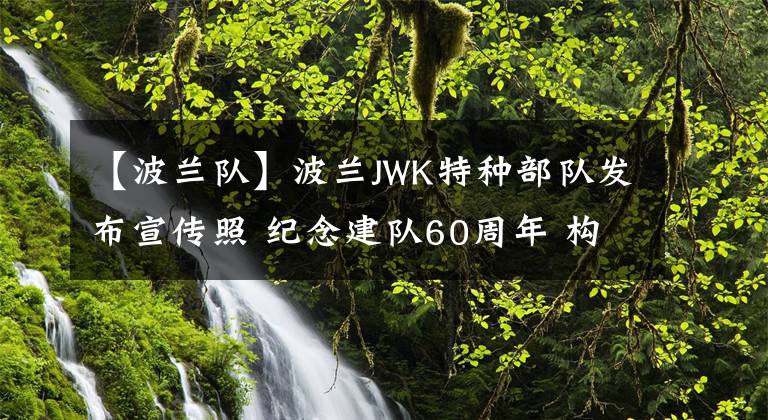 【波蘭隊(duì)】波蘭JWK特種部隊(duì)發(fā)布宣傳照 紀(jì)念建隊(duì)60周年 構(gòu)圖精美堪稱藝術(shù)品