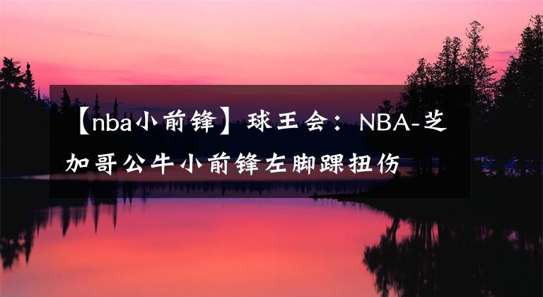 【nba小前鋒】球王會：NBA-芝加哥公牛小前鋒左腳踝扭傷