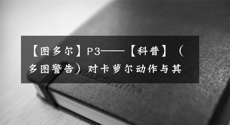 【圖多爾】P3——【科普】（多圖警告）對(duì)卡蘿爾動(dòng)作與其他動(dòng)作相似的解答