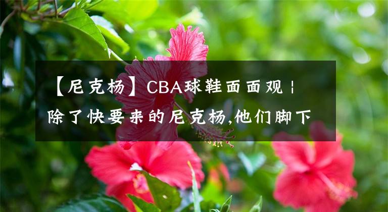 【尼克楊】CBA球鞋面面觀 | 除了快要來的尼克楊,他們腳下的球鞋同樣有看點(diǎn)