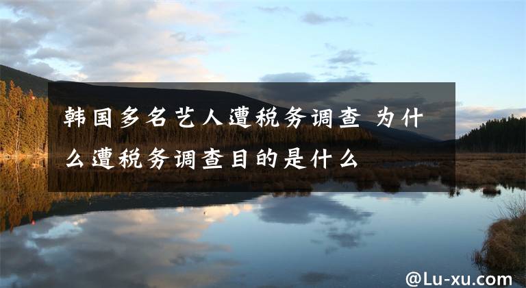 韓國(guó)多名藝人遭稅務(wù)調(diào)查 為什么遭稅務(wù)調(diào)查目的是什么