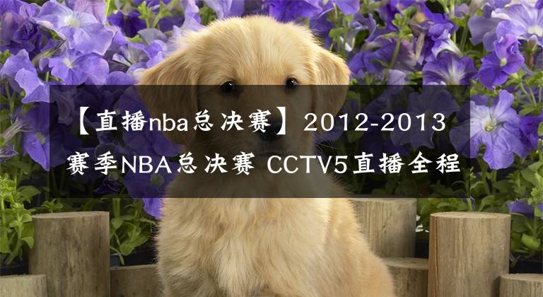 【直播nba總決賽】2012-2013賽季NBA總決賽 CCTV5直播全程