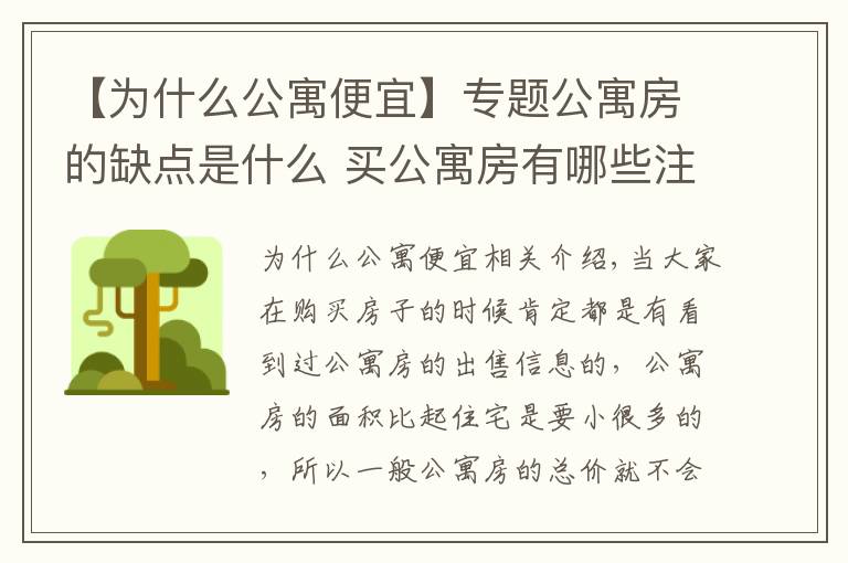 【為什么公寓便宜】專題公寓房的缺點(diǎn)是什么 買公寓房有哪些注意事項(xiàng)