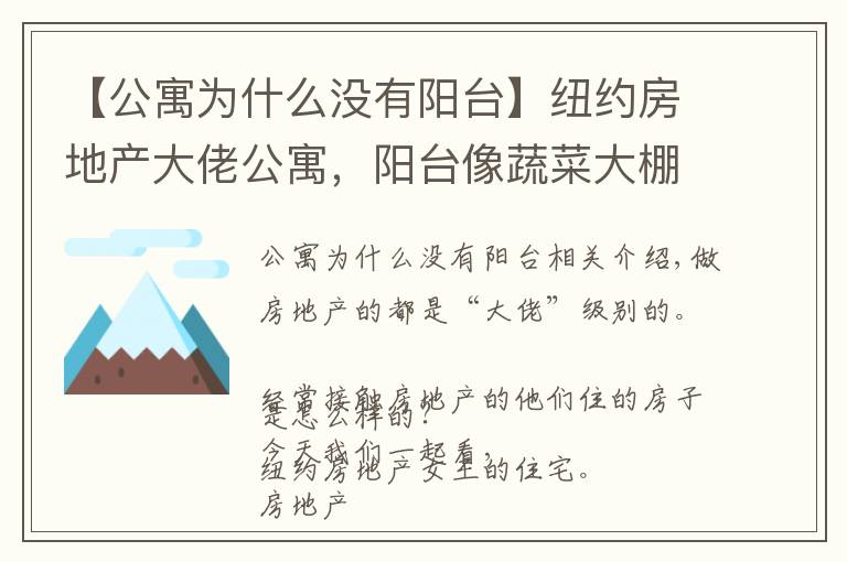 【公寓為什么沒有陽臺(tái)】紐約房地產(chǎn)大佬公寓，陽臺(tái)像蔬菜大棚，這房子確定值7000W？