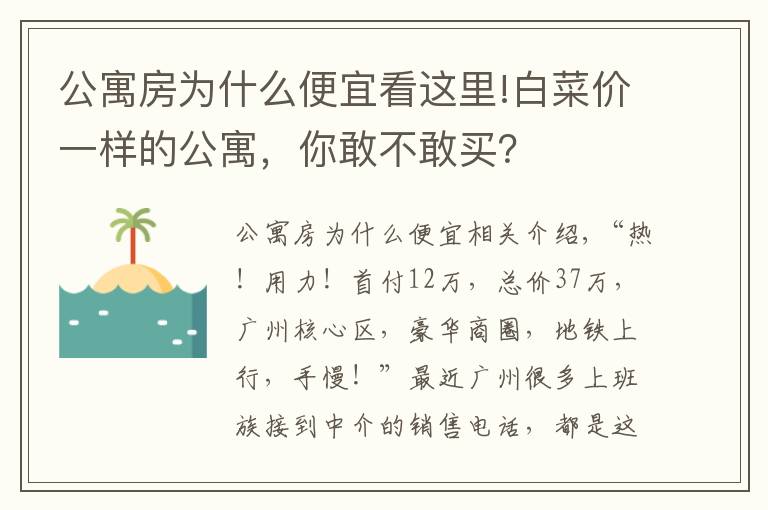 公寓房為什么便宜看這里!白菜價一樣的公寓，你敢不敢買？