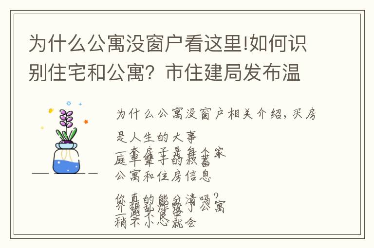 為什么公寓沒窗戶看這里!如何識(shí)別住宅和公寓？市住建局發(fā)布溫馨提示！