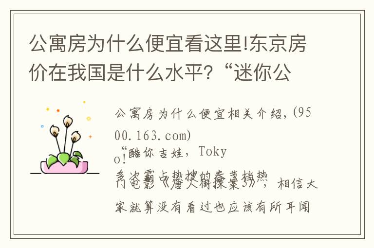 公寓房為什么便宜看這里!東京房價在我國是什么水平？“迷你公寓”火遍東京，背后暗藏玄機(jī)