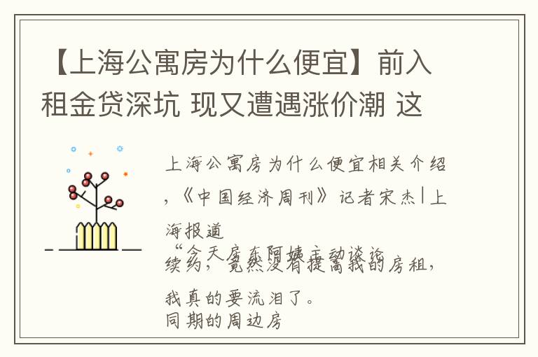 【上海公寓房為什么便宜】前入租金貸深坑 現又遭遇漲價潮 這屆上海年輕租房客太難了