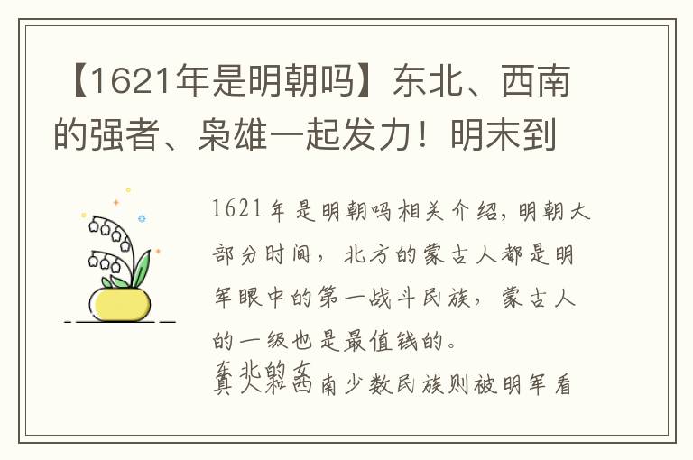 【1621年是明朝嗎】東北、西南的強(qiáng)者、梟雄一起發(fā)力！明末到底有多悲劇？