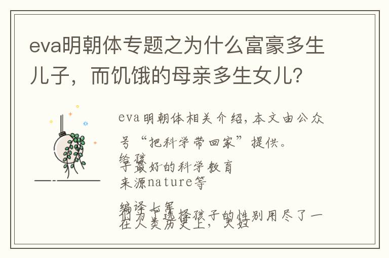 eva明朝體專題之為什么富豪多生兒子，而饑餓的母親多生女兒？