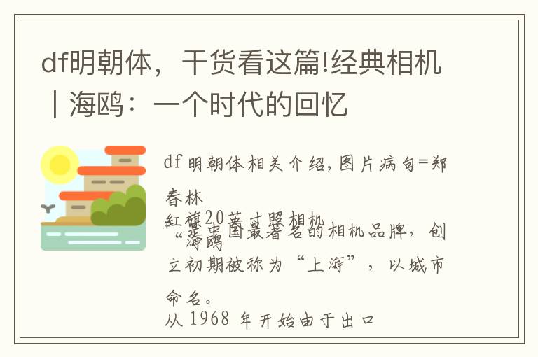 df明朝體，干貨看這篇!經(jīng)典相機｜海鷗：一個時代的回憶