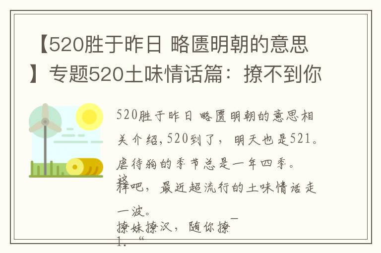 【520勝于昨日 略匱明朝的意思】專(zhuān)題520土味情話(huà)篇：撩不到你算我輸，輸了就做我女朋友吧