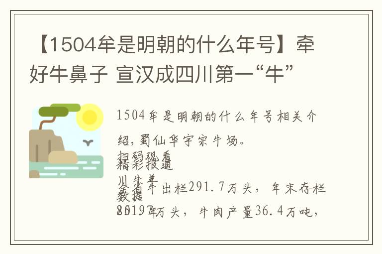 【1504牟是明朝的什么年號】牽好牛鼻子 宣漢成四川第一“?！笨h