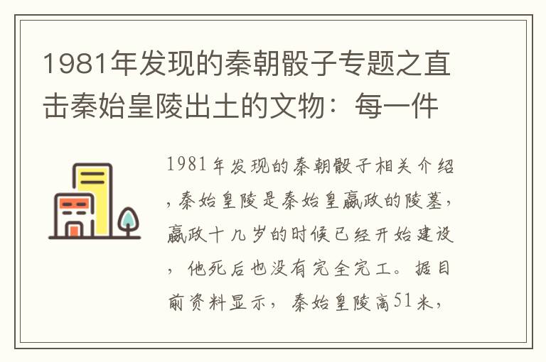 1981年發(fā)現(xiàn)的秦朝骰子專題之直擊秦始皇陵出土的文物：每一件都價值連城，圖四專家也難以置信