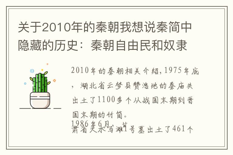 關于2010年的秦朝我想說秦簡中隱藏的歷史：秦朝自由民和奴隸婚姻生活