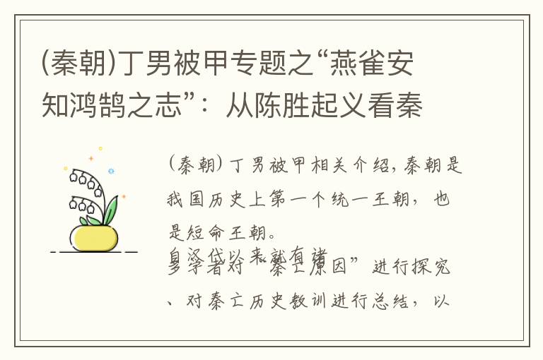 (秦朝)丁男被甲專題之“燕雀安知鴻鵠之志”：從陳勝起義看秦國(guó)的滅亡