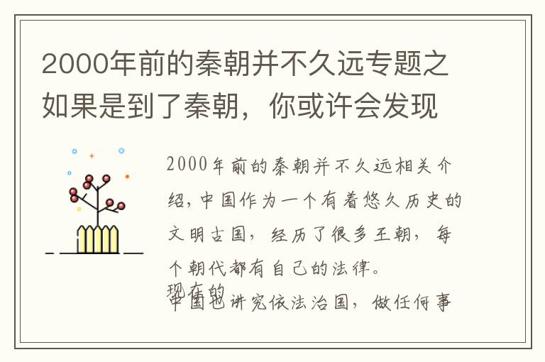 2000年前的秦朝并不久遠(yuǎn)專題之如果是到了秦朝，你或許會發(fā)現(xiàn)，長得矮可能還真不算一件壞事情