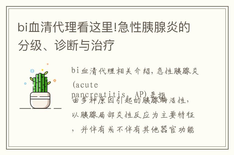 bi血清代理看這里!急性胰腺炎的分級、診斷與治療