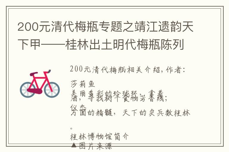 200元清代梅瓶專題之靖江遺韻天下甲——桂林出土明代梅瓶陳列（上）