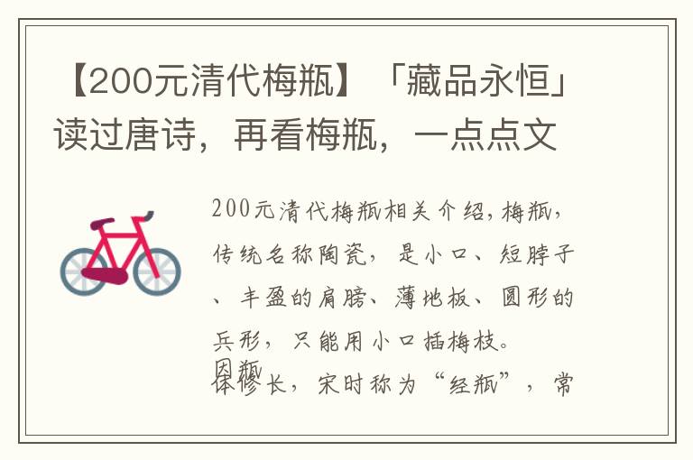 【200元清代梅瓶】「藏品永恒」讀過唐詩，再看梅瓶，一點(diǎn)點(diǎn)文化的浸入讓人賞心悅目