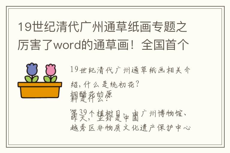 19世紀(jì)清代廣州通草紙畫專題之厲害了word的通草畫！全國首個通脫木研究共育基地落戶越秀