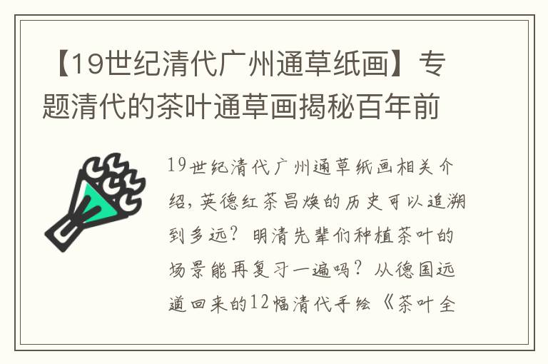 【19世紀(jì)清代廣州通草紙畫】專題清代的茶葉通草畫揭秘百年前茶商善營(yíng)銷 外國(guó)人為啥愛(ài)收藏？