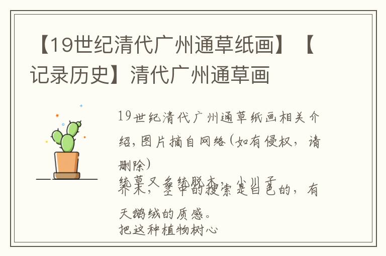 【19世紀(jì)清代廣州通草紙畫(huà)】【記錄歷史】清代廣州通草畫(huà)