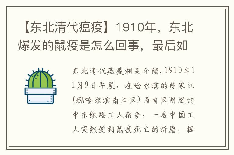 【東北清代瘟疫】1910年，東北爆發(fā)的鼠疫是怎么回事，最后如何消滅的？