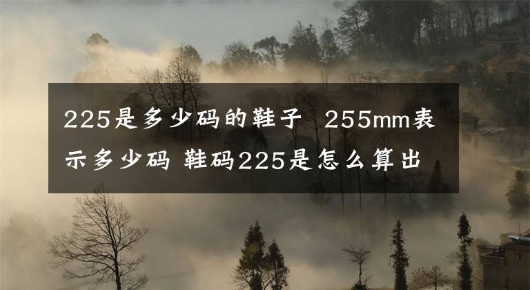 225是多少碼的鞋子 255mm表示多少碼 鞋碼225是怎么算出來的