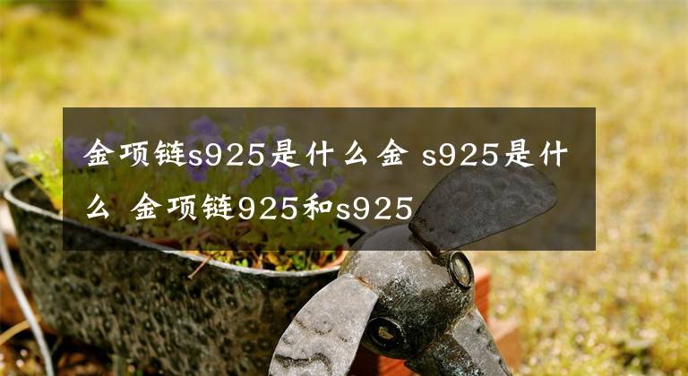 金項鏈s925是什么金 s925是什么 金項鏈925和s925