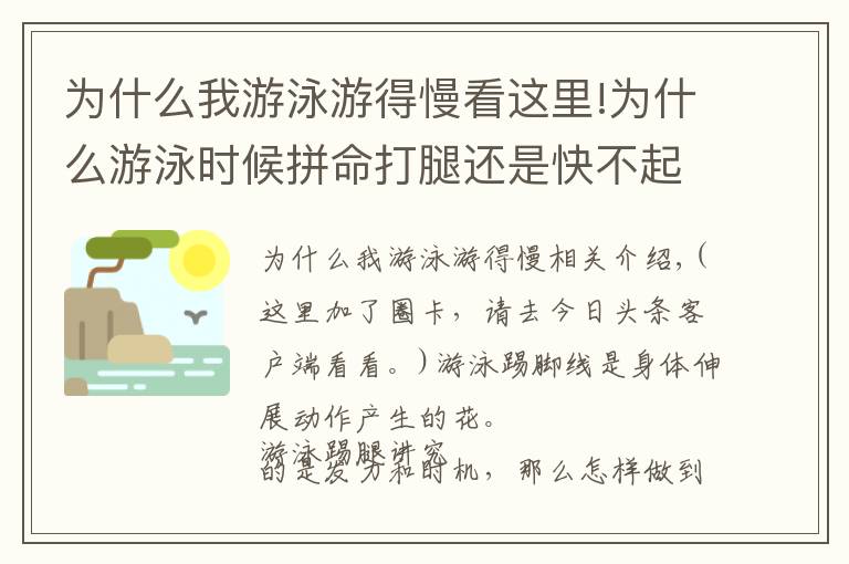 為什么我游泳游得慢看這里!為什么游泳時(shí)候拼命打腿還是快不起來？