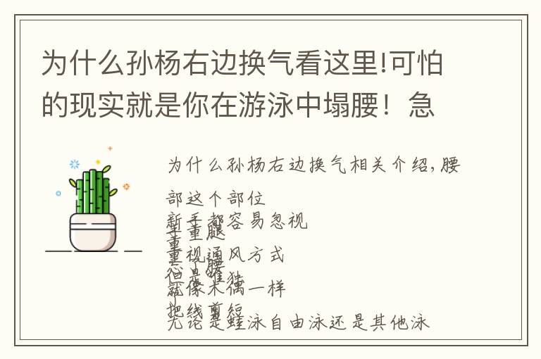 為什么孫楊右邊換氣看這里!可怕的現(xiàn)實(shí)就是你在游泳中塌腰！急需這3種方法幫你糾正