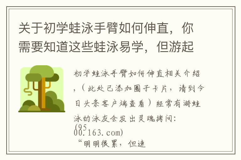 關(guān)于初學(xué)蛙泳手臂如何伸直，你需要知道這些蛙泳易學(xué)，但游起來慢？可能你忽略了這一點