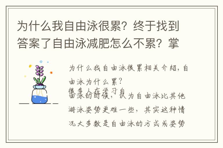 為什么我自由泳很累？終于找到答案了自由泳減肥怎么不累？掌握動作要領(lǐng)就好了