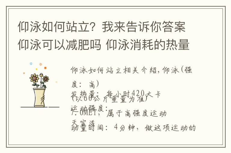 仰泳如何站立？我來告訴你答案仰泳可以減肥嗎 仰泳消耗的熱量